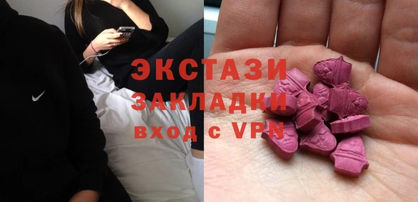 индика Абаза