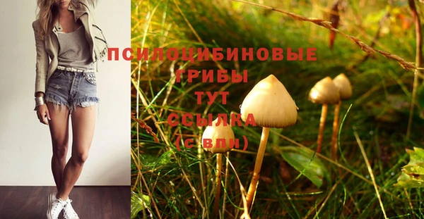 шишки Алексин