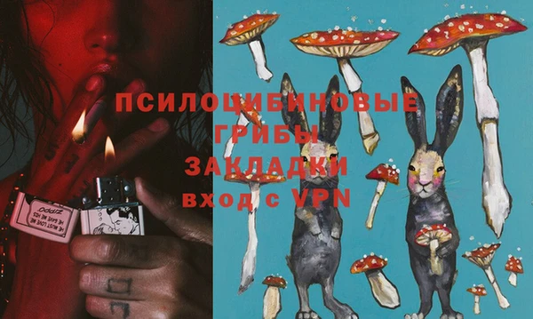 индика Абаза